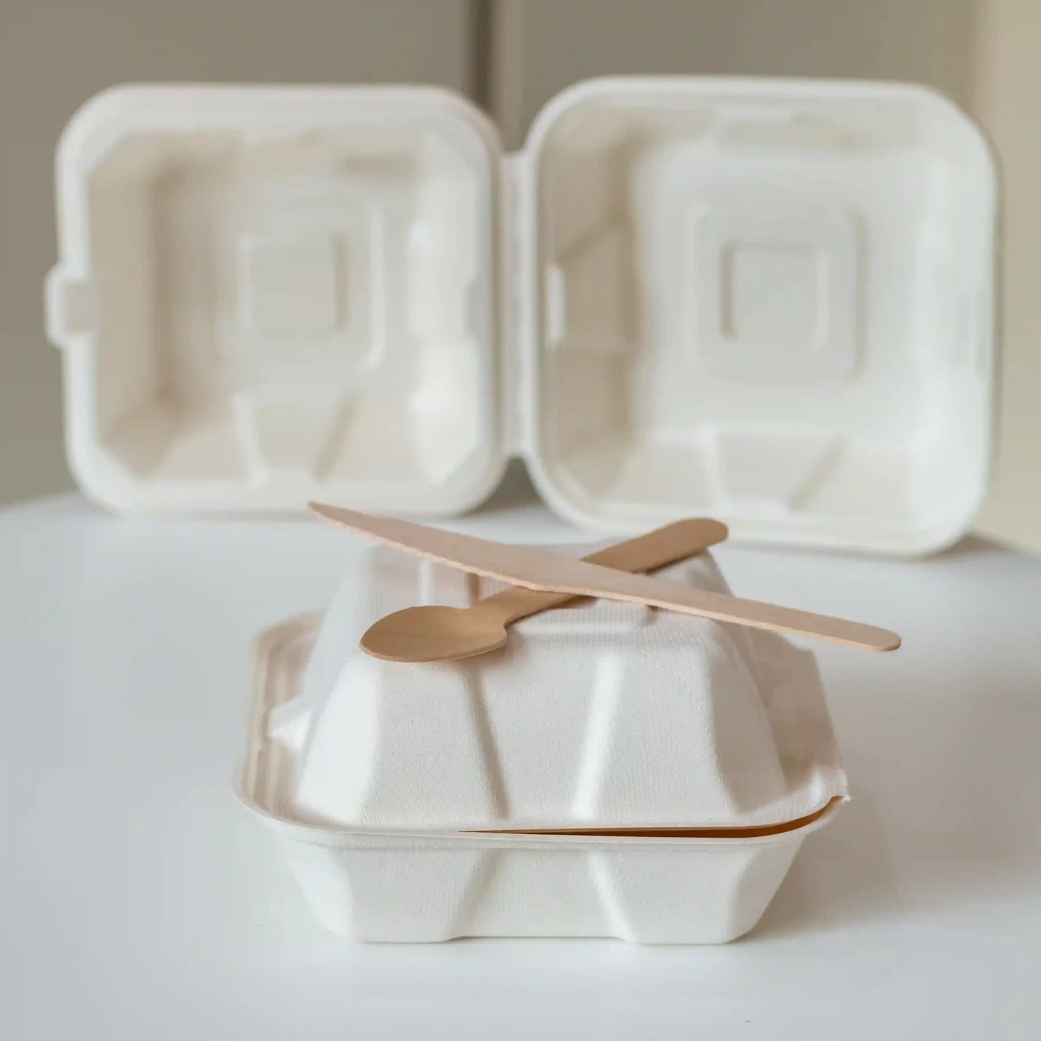 Bento Boxes Packaging