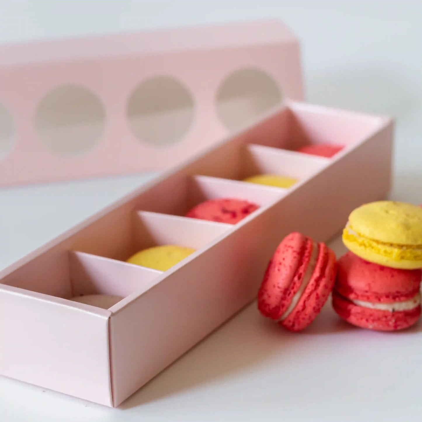 Macaron Box For 5 - Lush Pink